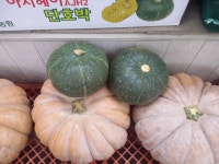 가락시장가락몰 회진유통