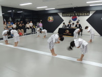 타이거합기도킥복싱