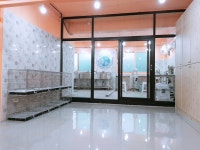 김지순애견미용학원