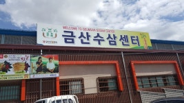 금산수삼센터41호