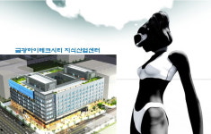 금광하이테크시티