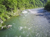 댕댕이계곡펜션