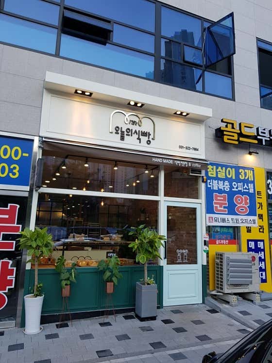 오늘의식빵175도씨 사진