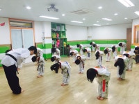 번개태권도