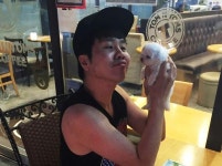 더독스 강아지분양 서울