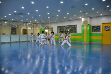용인대성민태권도