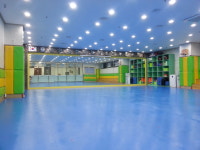 용인대성민태권도