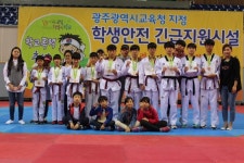 번개태권도