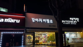 강아지이발소