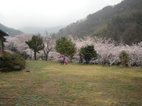 화개달빛정원펜션