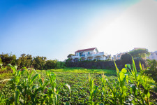 표선해비치화목펜션