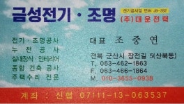 금성전기