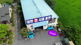 대한사료