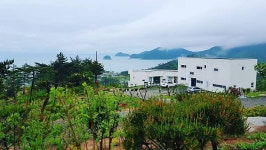 가고파 별빛담아