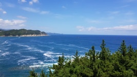 동풍물류