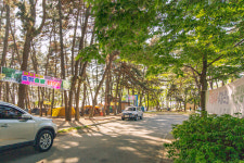 중앙솔밭캠핑장