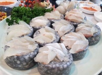 김선장 회 초밥 참치 delivery