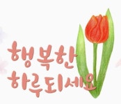 K크린 의정부점