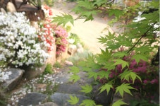 아라리 펜션
