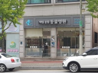 제일종합동물병원
