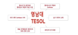 영남대학교 테솔