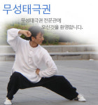 무성태극권