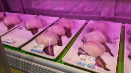 황당한민물장어