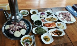 고령농원
