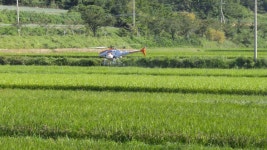 예랑햇살농장 스마트팜 유통