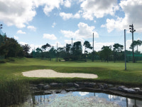 파인파골프클럽