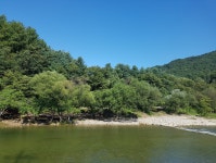 삼호가든펜션