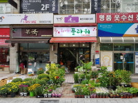 훼미리플라워