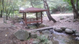 우리집같은민박