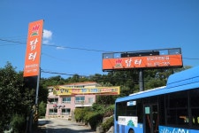닭터