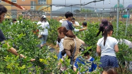 안성시도농교류지원센터