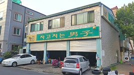 차고치는남자