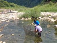 황둔건강원민박