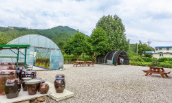 황둔건강원민박