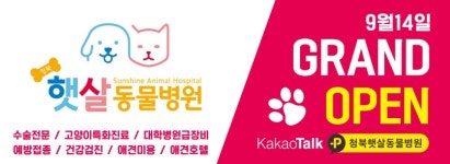 청북햇살동물병원