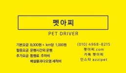 펫아찌펫아씨