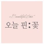 오늘핀꽃