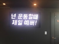 엠스타복싱클럽