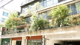 terrace222