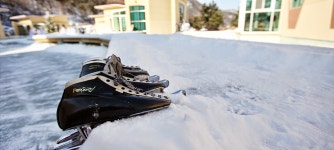 드위트리 풀빌라펜션&카라반가든