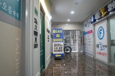 발도르프숲음악학원