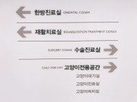 24시잠실베스트동물메디컬센터