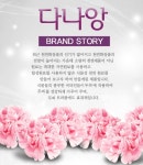 다나앙화장품