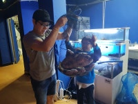 후킹실내바다낚시터