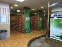 파라곤스파