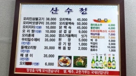 산수정